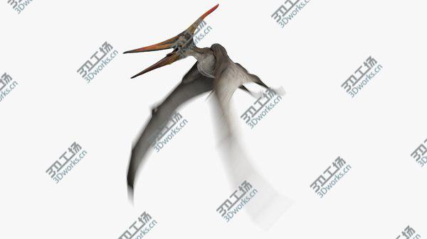 images/goods_img/20210312/3D model Pteranodon Longiceps Gray Animated/1.jpg